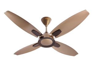 Usha Bloom Lily 1300mm Ceiling Fan (Sparkle Brown & Gold)