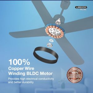 Havells Libeccio BLDC 1200mm 5 Star Premium Ceiling Fan (Slate)